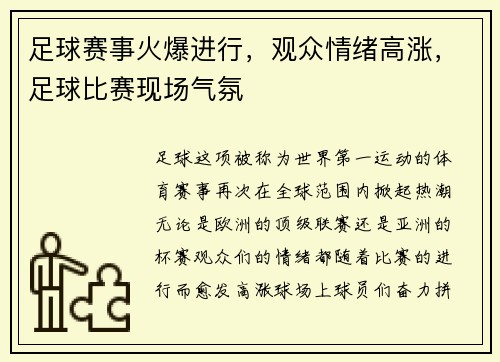 足球赛事火爆进行，观众情绪高涨，足球比赛现场气氛